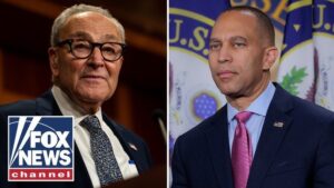 NY congresswoman SLAMS Schumer: Jeffries