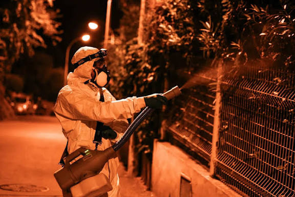 images - 2025-10-15T200807.975