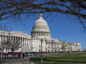 Next senate vote on budget: government funding,vote to reopen,Democrats voted,shutdown