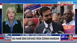 Liz Peek says: conservative,Mamdani is a LOSER for Democrats,political party