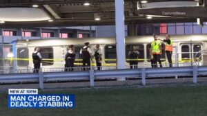 Lawrence Strother: Jason Rowinski Chicago,Rosemont CTA stabbing,Line incident