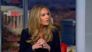 Tricia McLaughlin: DHS defense sparks CNN clash, ICE backlash explodes