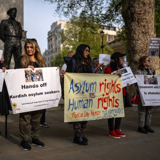 images - 2026-01-28T233038.034