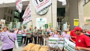 São Paulo: Workers Strike,Coffee Labor Abuse,Union Fury