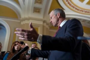 Senate Democrats : government shutdown threat, ICE reforms, funding showdown