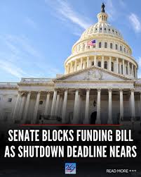 images - 2026-01-31T211053.320