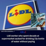 images - 2026-02-14T210055.643