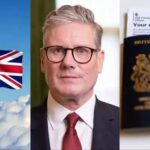 images - 2026-02-19T215339.874