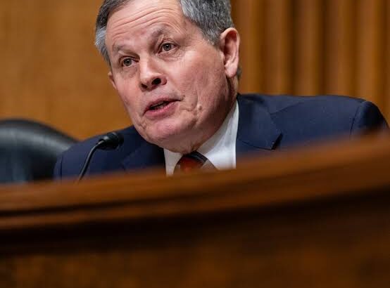 images - 2026-03-05T233419.069