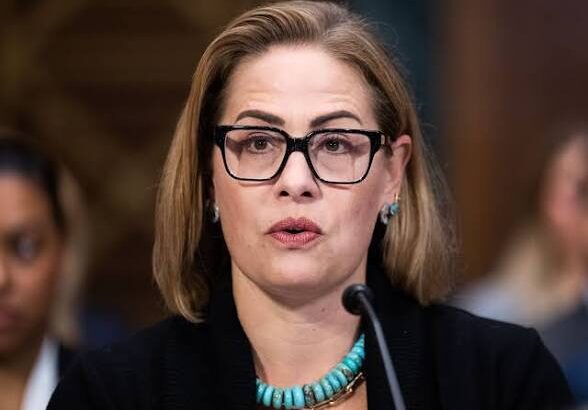 images - 2026-03-14T222628.586