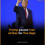 images - 2026-03-23T220820.538