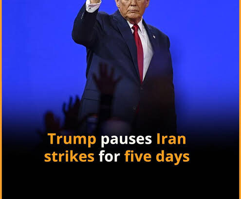 images - 2026-03-23T220820.538