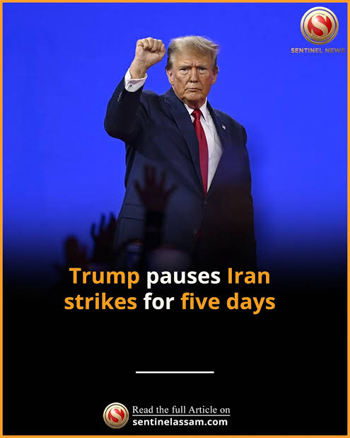 images - 2026-03-23T220820.538