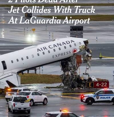 images - 2026-03-23T224646.302