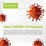 images - 2026-03-26T205654.152