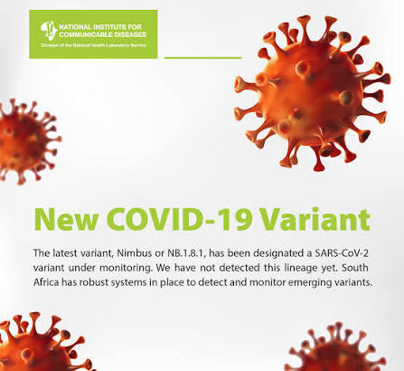 images - 2026-03-26T205654.152