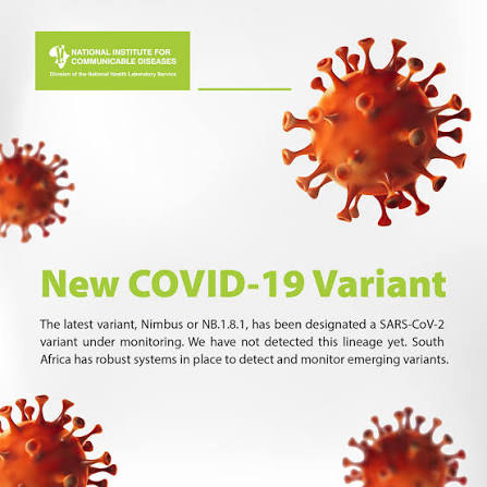 images - 2026-03-26T205654.152