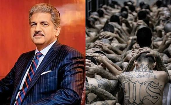 images (13)