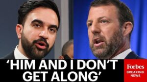 New York In Crisis: Mullin Says Mamdani Is ‘Absolutely Destroying’ The City Web search
