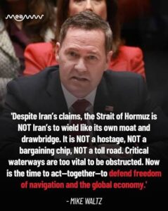Mike Waltz Strait of Hormuz warning