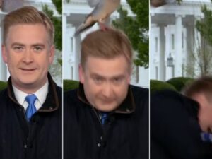 Breaking News: Peter Doocy Warns US Public As Massive Developments Spark Nationwide Attention