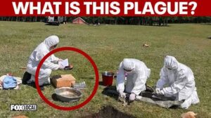 BIOWEAPON NIGHTMARE: US Demands Urgent Answers From Moscow Over Fatal Siberian Plague Lab Leak, Hundreds Quarantined